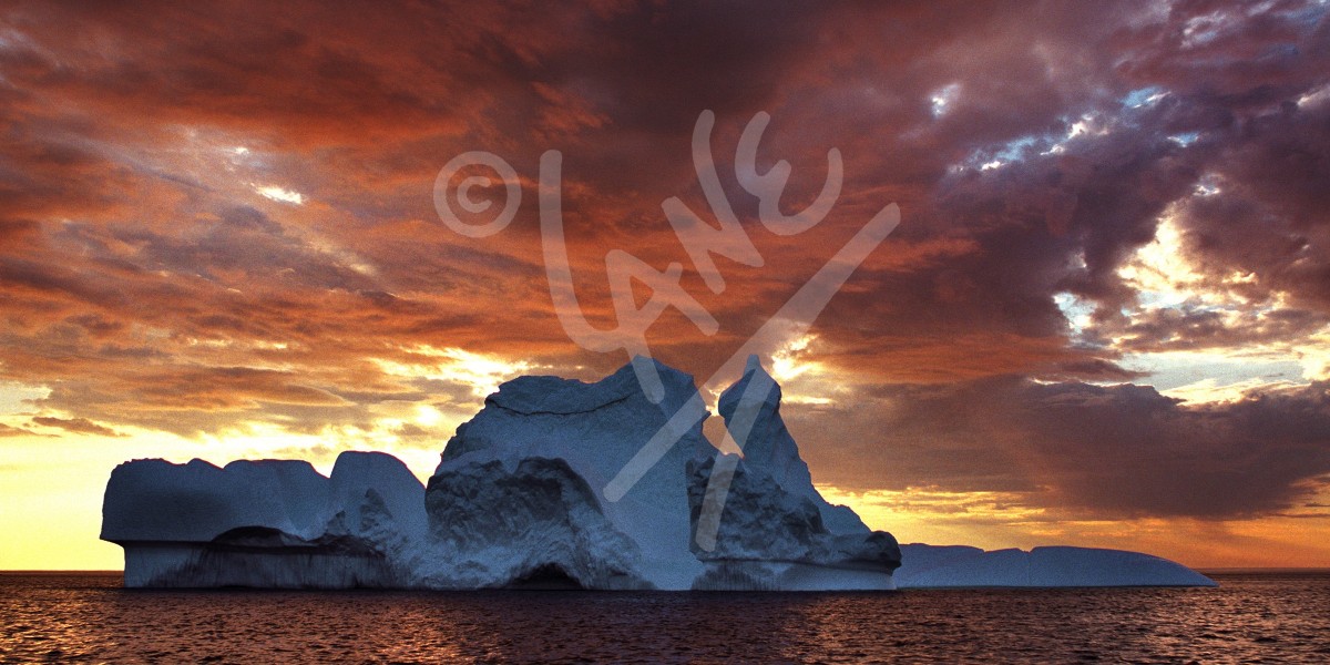 Notre Dame Bay Sunset